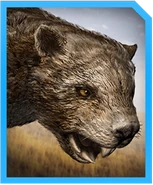 As it appears in Jurassic World: alive