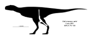 Quilmesaurus Skeletal.svg.png (3 KB)