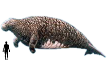 Stellerseacowsize