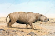 Adinotherium