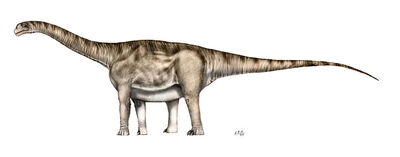 AragosaurusSP.jpg