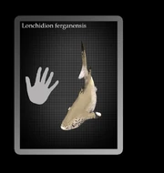 Lonchidion by hyrotrioskjan-d4t4bum