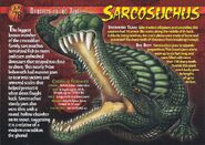 Sarcosuchus front