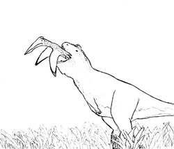 Restoration of Vitakridrinda sulaimani by Syed Mohammad Asas Husain (See asashusain.com for more).