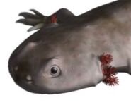 20191221 130949.jpg (22 KB)