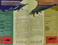 Ophthalmosaurus and Tylosaurus