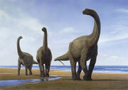 Camarasaurus herd