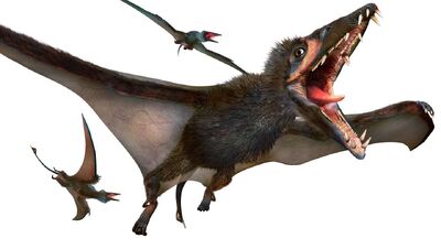 EudimorphodonInfobox.jpg