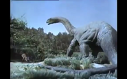 Brontosaurus