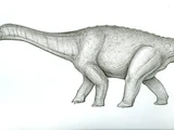 Diamantinasaurus