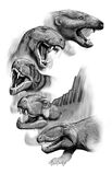 Therapsid Morph test