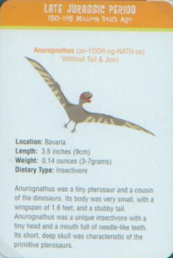 Sorry for spamming weird pterosaurs, but heres Anurognathus, a