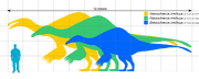 Deinocheirus Scale