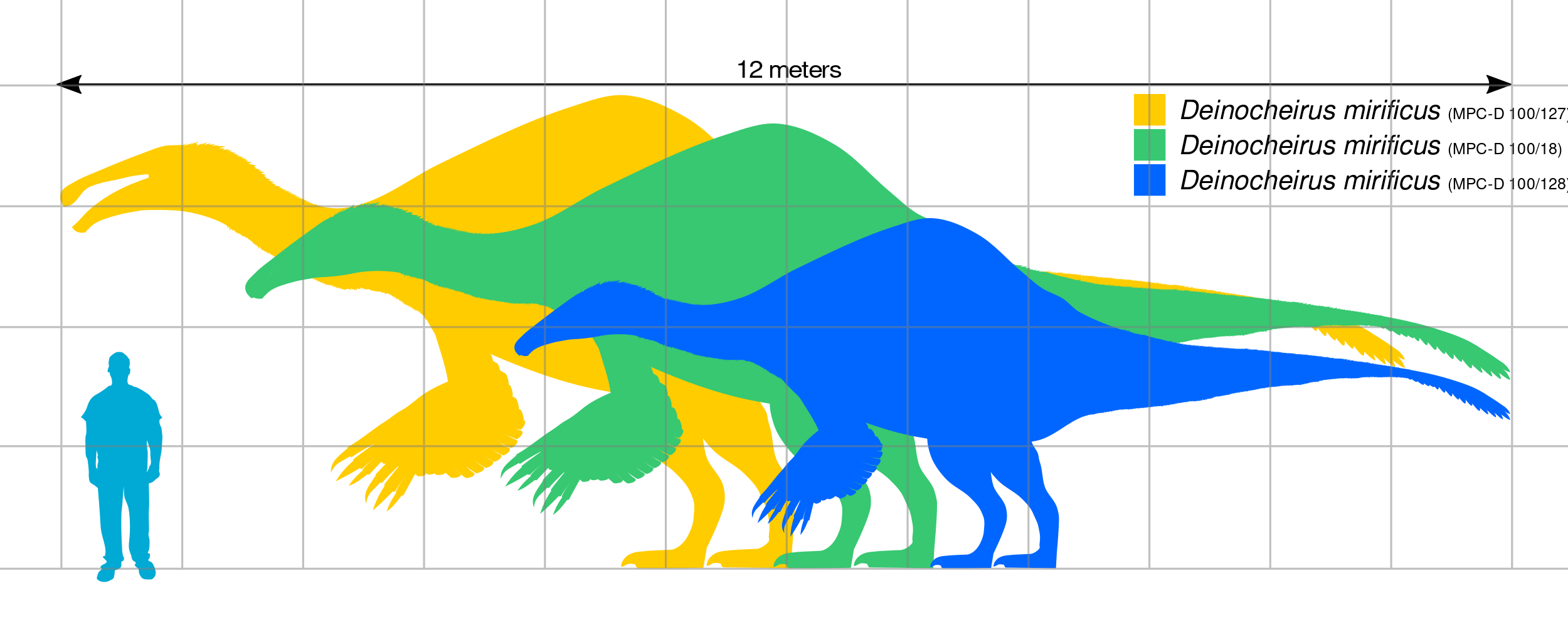 Deinocheirus fossils reveal dinosaur behind huge 'T.rex' arms