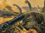 RoSp 12.jpg (438 KB)