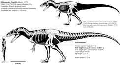 Allosaurusdino