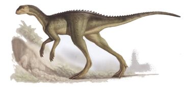 Oryctodromeus.jpg