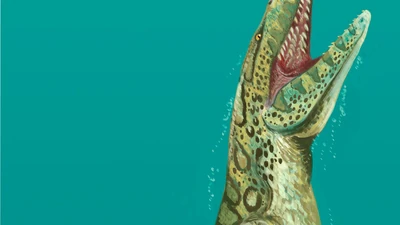 Discuss Everything About Dinopedia Fandom