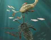 1silurian-pic-42732
