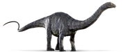 Apatosaurus.png
