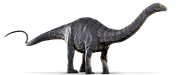 Apatosaurus