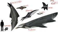 Gnathonatatia