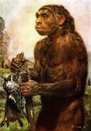 Neanderthal by zdenek burian 1950