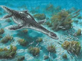 Kimmerosaurus