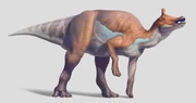 Augustynolophus