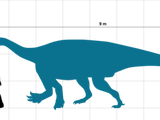 Ledumahadi