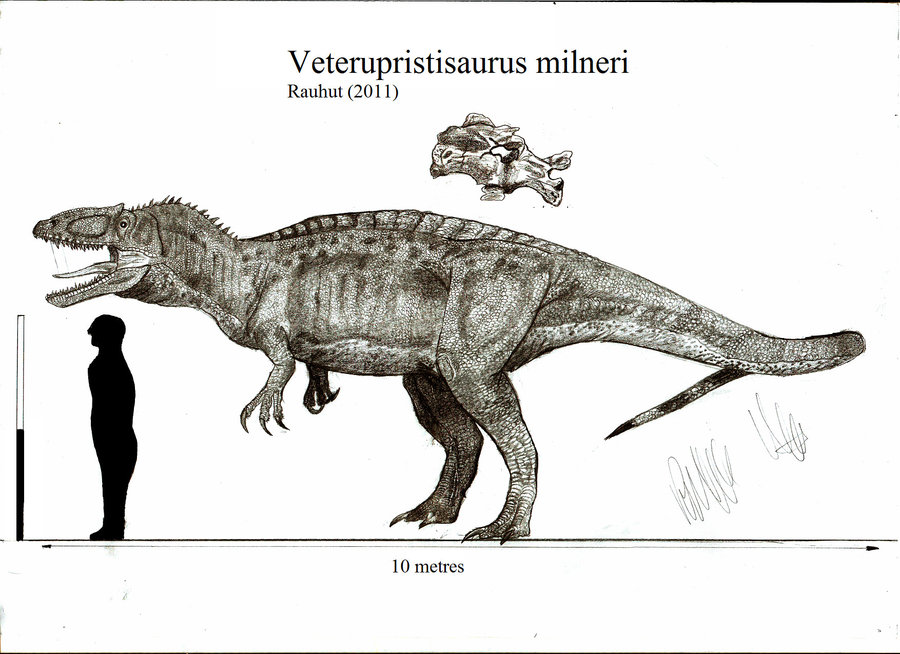 Veterupristisaurus | Dinopedia | Fandom