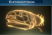 Eusthenopterons34