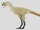 Shanyangosaurus