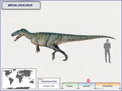 Illustration by Cisiopurple