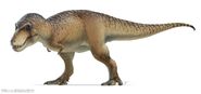 Reconstruction of Tyrannosaurus