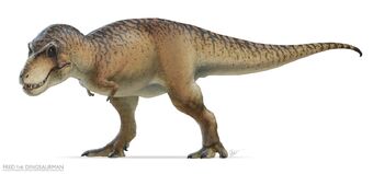 Tyrannosaurus Rex Dinopedia Fandom Tyrannosaurus Rex Dinopedia Fandom