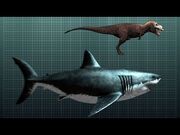 The-Nightmarish-Megalodon-Sharkzilla-Shark-Week-2012