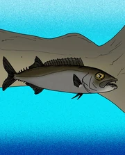 Abadzekhia illustration 