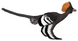 Anchiornis awesome.png