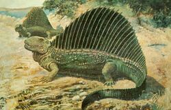 Knight-Dimetrodon-Naosaurus-1000x639