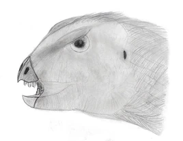 Manidenscondorensis