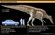 Shantungosaurus size.jpg.png (614 KB)
