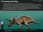 Triceratops horridus size comparison by harry the fox dbrn2nt-fullview