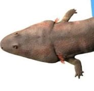 20191221 130913.jpg (20 KB)