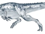 Chingkankousaurus