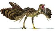 First bird.jpg