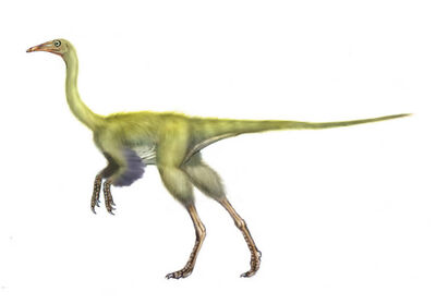 Harpymimus.jpg