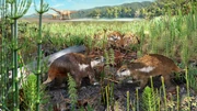 Illustration of Magallanodon baikashkenke