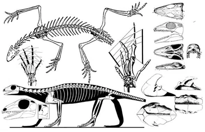 Kadaliosaurus