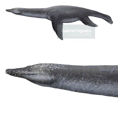 Reconstruction Hauffiosaurus